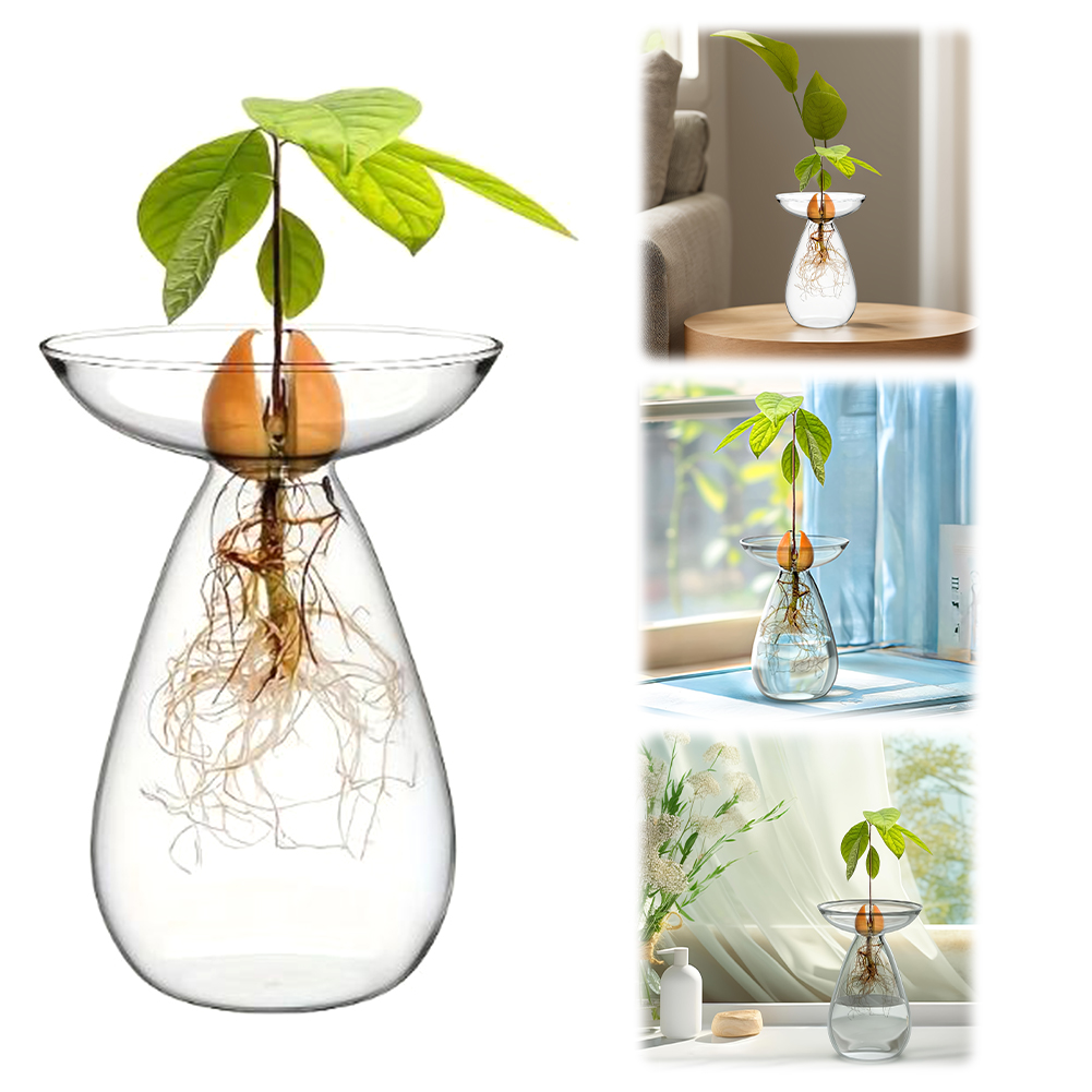 Propagation Station Vase - アボカド種子スターターベース 透明な植物繁殖ステーション ガラス製アボカドの木の花瓶 バルコニー用