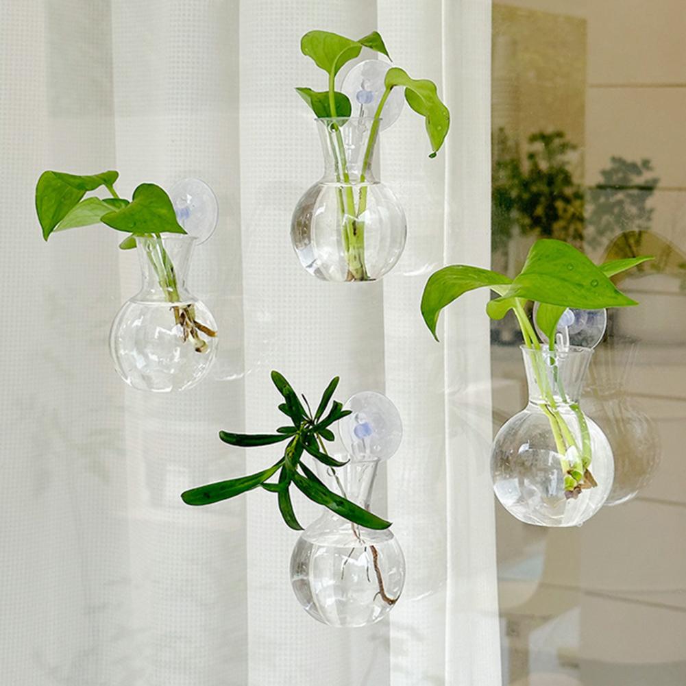 Propagation Station Vase - 1/2/3/4/6/8個入り植物繁殖用バルブ、吸盤付き透明繁殖プランター、テラリウム花瓶、窓用繁殖ステーション