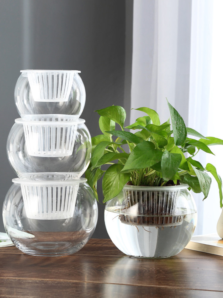 Propagation Station Vase - 水耕栽培用ガラス花瓶 グリーンディル用花瓶 家庭やオフィスの装飾用繁殖ステーション 丸型ガラス容器