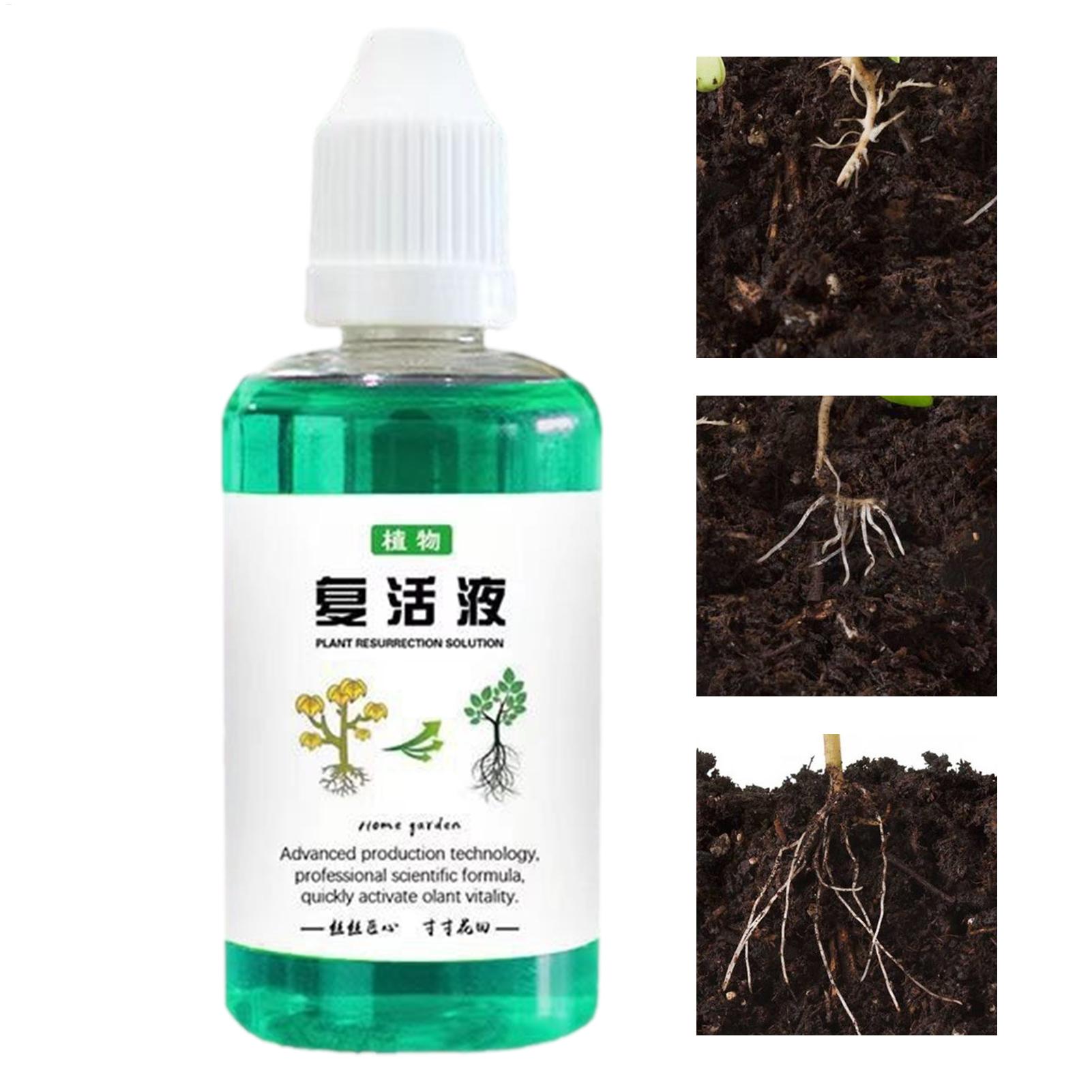 50ml 根刺激剤 植物復活液 野菜肥料 根ブースター 果実 - Root Stimulator Liquid のレビューと価格