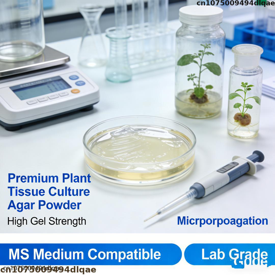 植物組織培養用アガーパウダー 高ゲル強度 ラボグレード MS - Agar Tissue Culture のレビューと価格