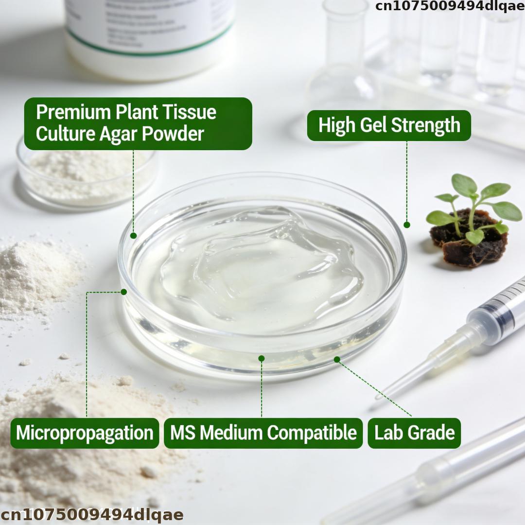 植物組織培養用アガーパウダー 高ゲル強度 ラボグレード MS - Agar Tissue Culture のレビューと価格