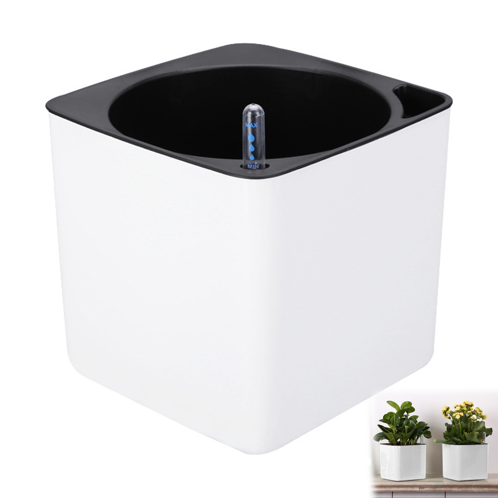 自動自己散水花植物ポット園芸フラワーポットリビングルームの装 - Self Watering Insert のレビューと価格