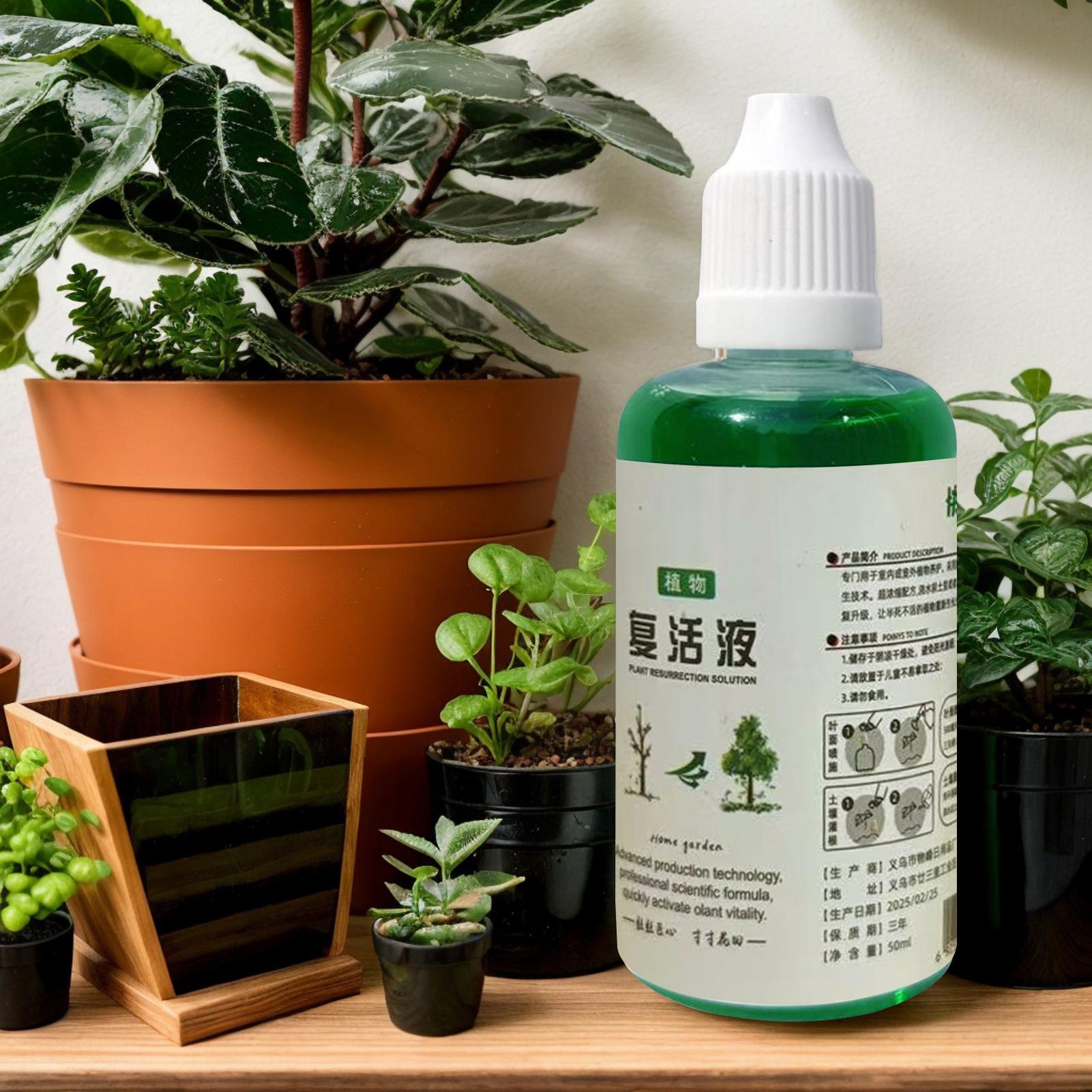 植物用根刺激剤 根の栄養肥料 50ml 有機天然土壌堆肥溶液 - Root Stimulator Liquid のレビューと価格