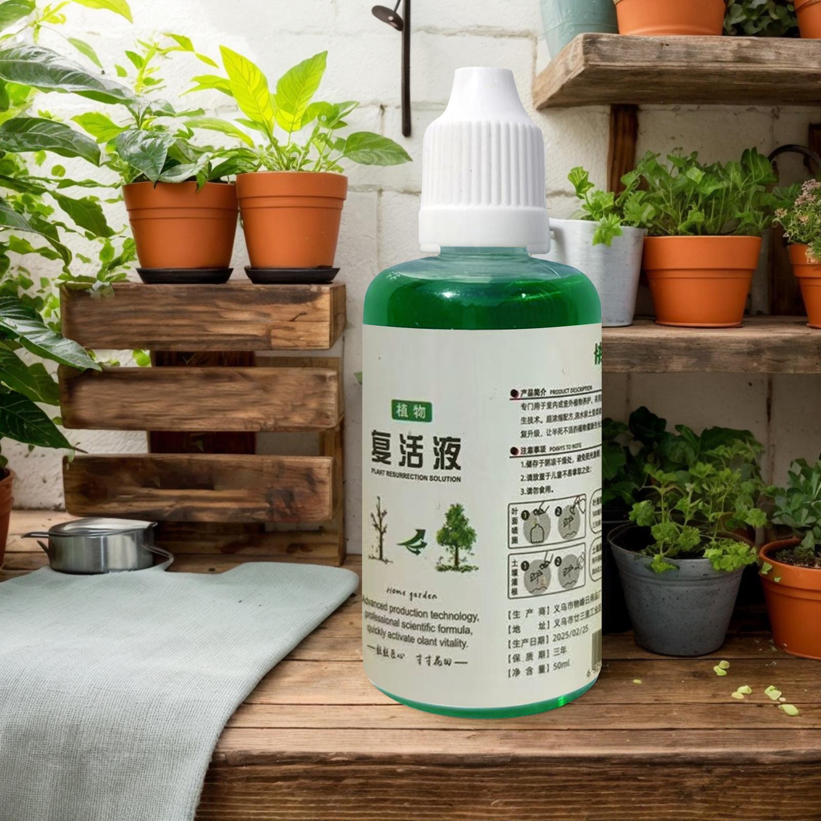 植物用根刺激剤 根の栄養肥料 50ml 有機天然土壌堆肥溶液 - Root Stimulator Liquid のレビューと価格