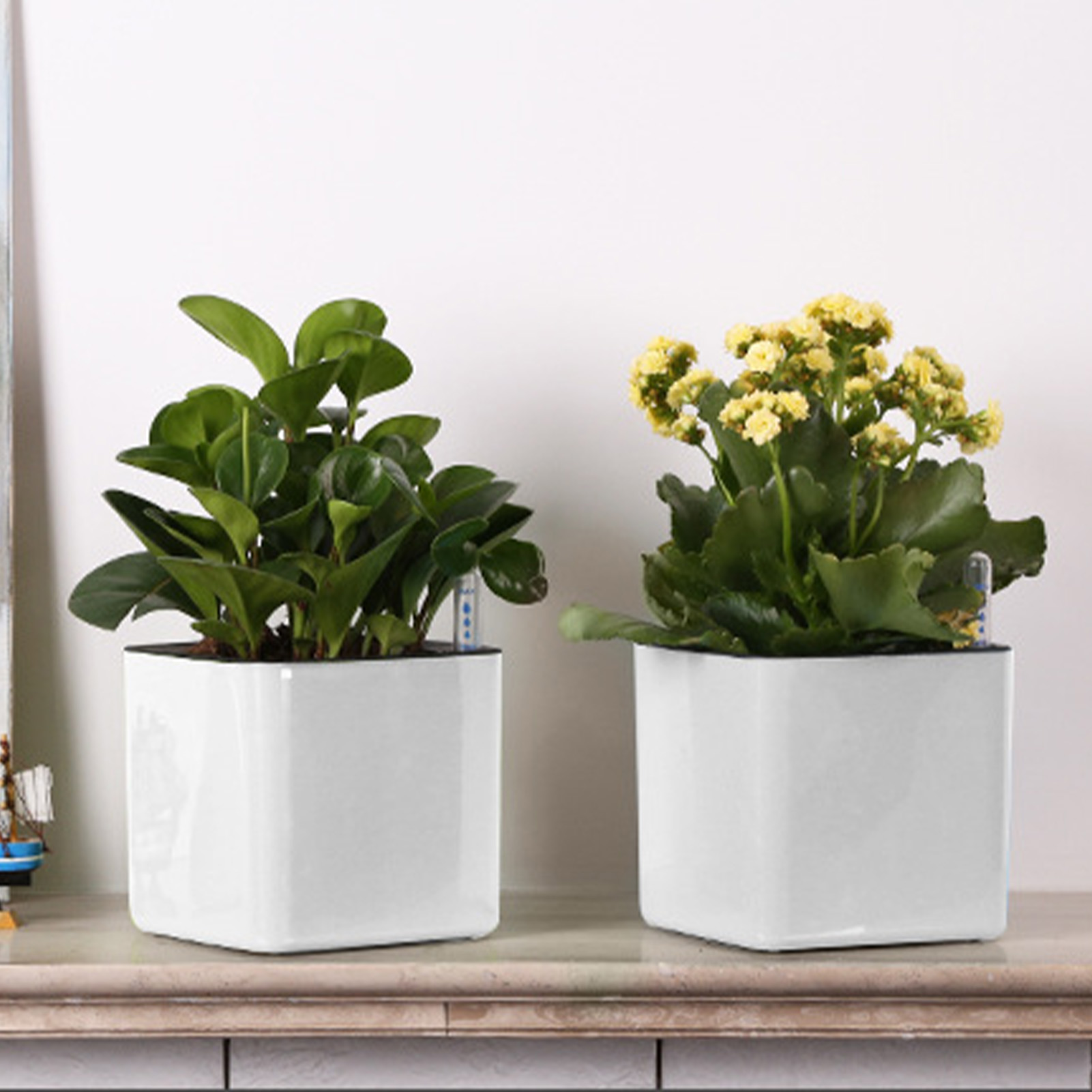 自動給水プランター 水位計付き自動給水ポット ホワイト 自動 - Self Watering Insert のレビューと価格
