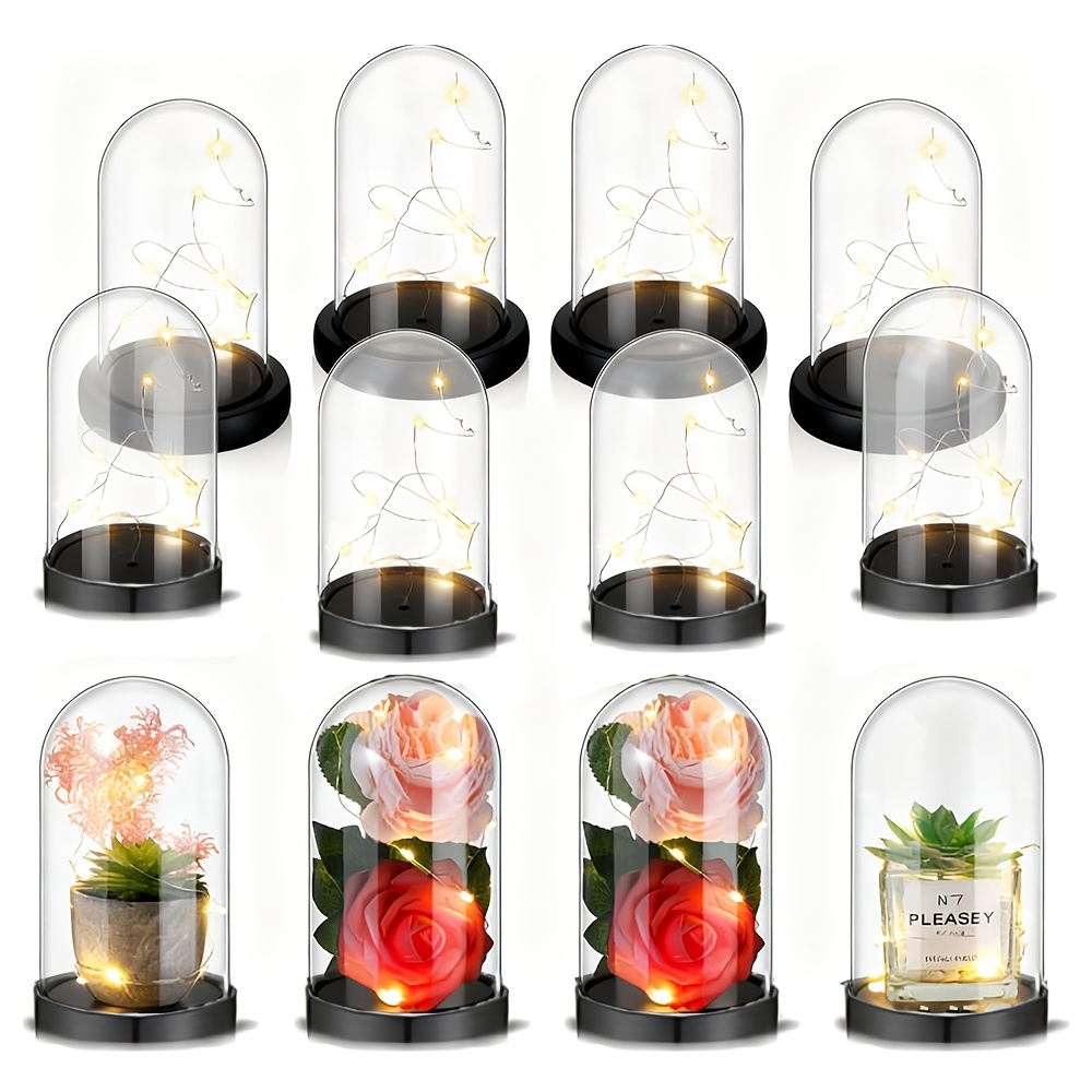 透明プラスチック製クリスマスオーナメントボールジャー、永遠の - Plastic Dome Clear のレビューと価格