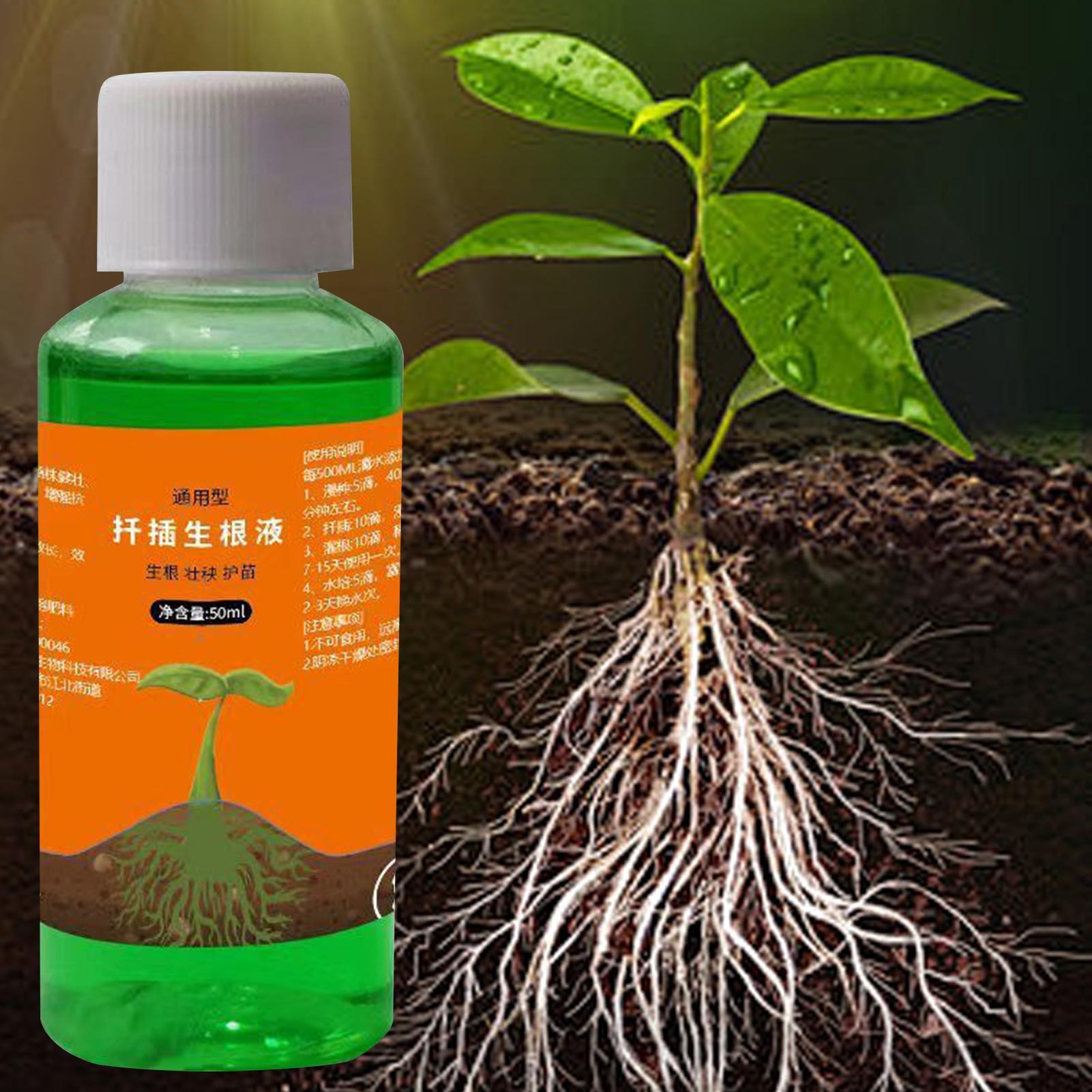 50ml移植栄養液 植物急速発根液 根刺激剤 切り花用 バラ - Root Stimulator Liquid のレビューと価格