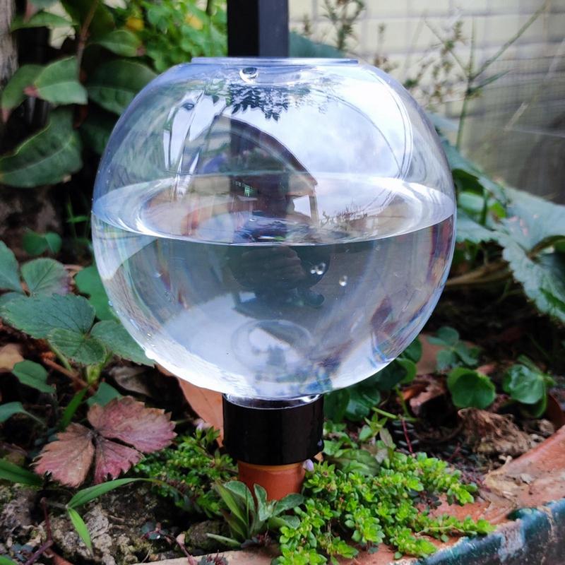 植物散水球根自動 500 ミリリットルガラスグローブプランタ - Self Watering Insert のレビューと価格