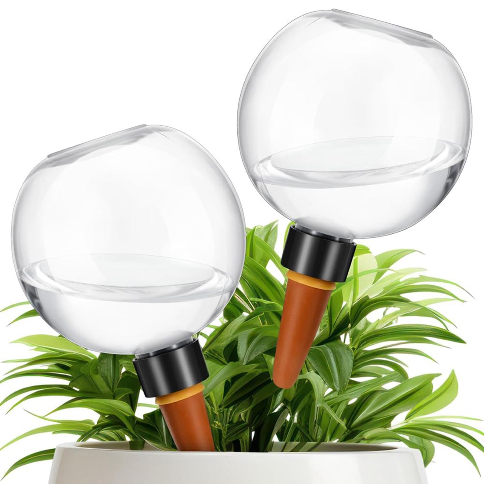 500ml自動植物散水球ガラス球プランターインサート簡単自動 - Self Watering Insert のレビューと価格