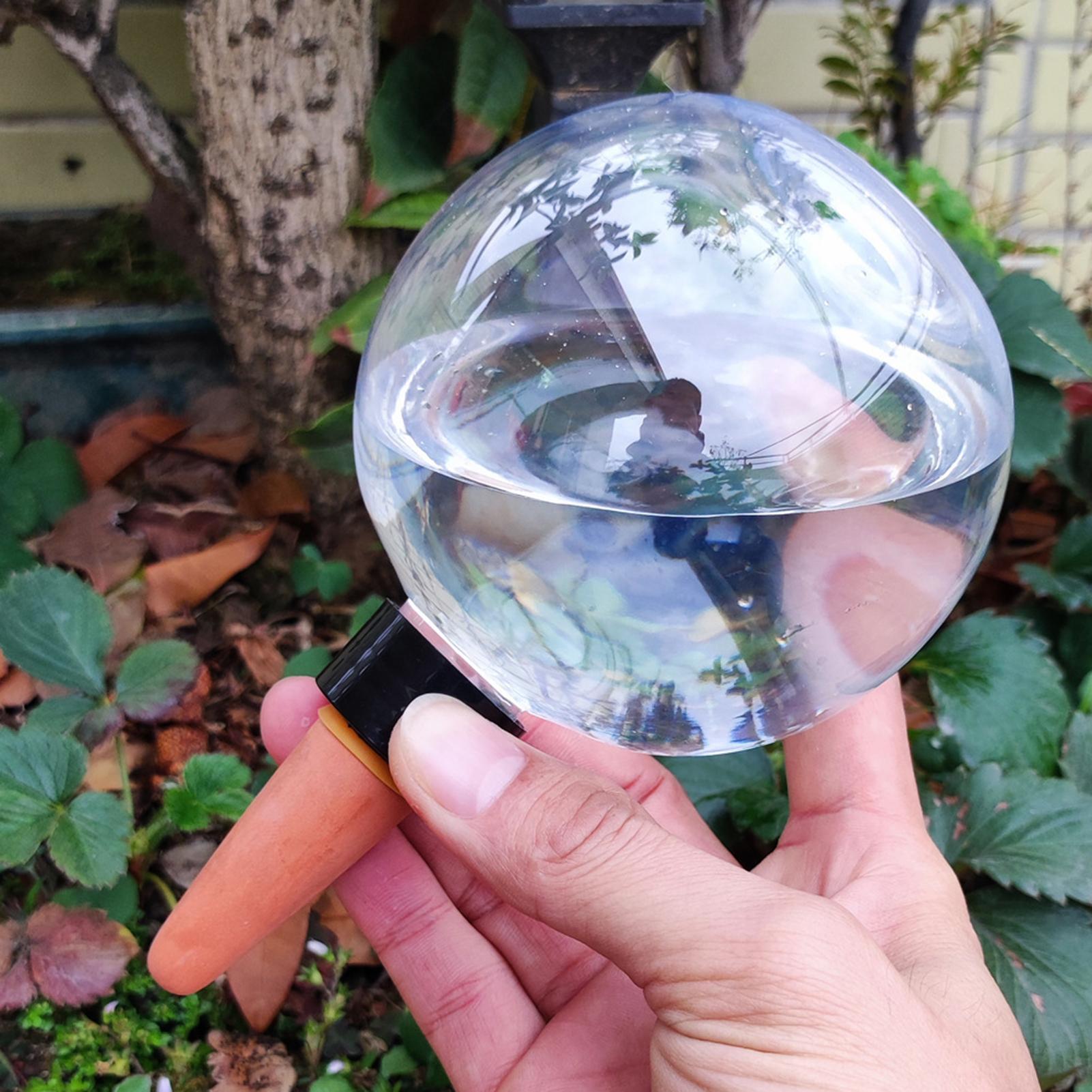 500ml自動植物散水球ガラス球プランターインサート簡単自動 - Self Watering Insert のレビューと価格