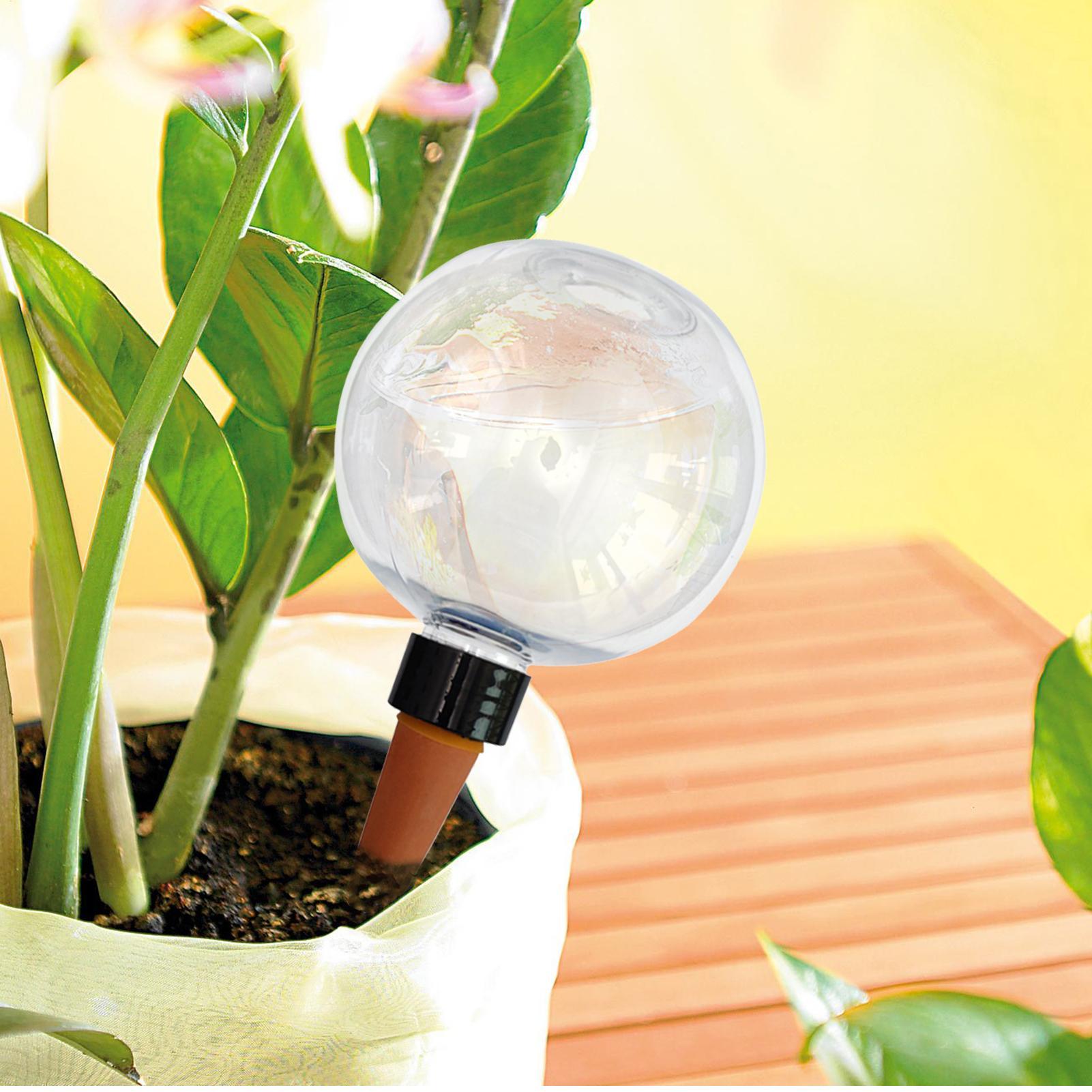 500ml自動植物散水球ガラス球プランターインサート簡単自動 - Self Watering Insert のレビューと価格