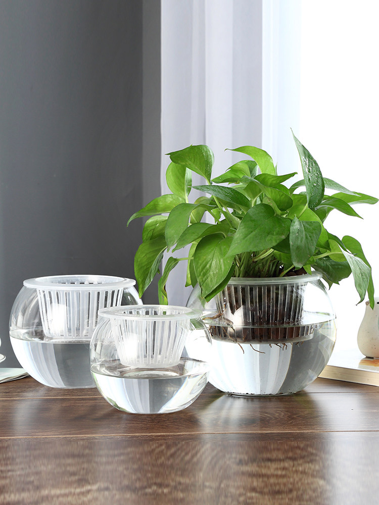 水耕栽培用ガラス花瓶 グリーンディル用花瓶 家庭やオフィスの - Propagation Station Vase のレビューと価格